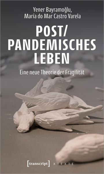Post/pandemisches Leben- Book Cover